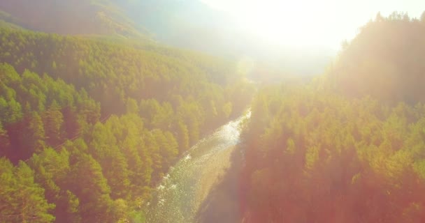 Laaggelegen vlucht over verse snelle bergrivier met rotsen op zonnige zomerochtend. — Stockvideo