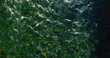 Güneşli yaz sabahında kayalarla birlikte taze, hızlı dağ nehri üzerinde alçak irtifa uçuşu..