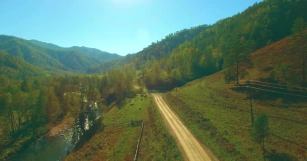 Voo de baixa altitude sobre o rio de montanha rápido fresco com rochas na manhã de verão ensolarada. — Vídeo de Stock