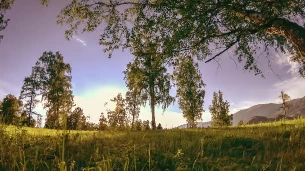 Pré-montagne time-lapse à l'heure d'été ou d'automne. Nature sauvage et champ rural. Mouvement motorisé poupée coulissante . — Video