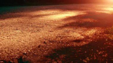 Asfalt yolda koşan sporcu. Kırsal şehir parkı. Yeşil ağaç ormanı ve ufukta güneş ışığı.