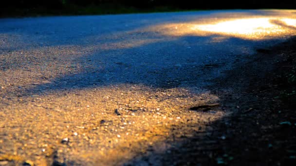 Homem do desporto a correr na estrada de asfalto. Parque rural da cidade. Floresta de árvore verde e raios de sol no horizonte. — Vídeo de Stock