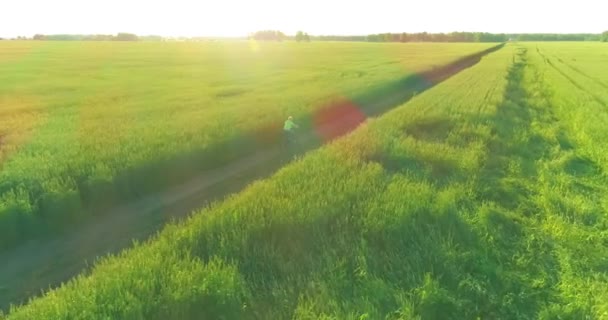 Luftaufnahme eines kleinen Jungen, der mit dem Fahrrad durch ein Weizengrasfeld auf der alten Landstraße fährt. Sonnenlicht und Sonnenstrahlen. — Stockvideo