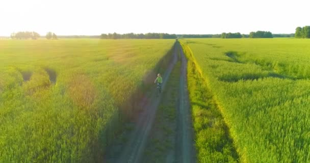 자전거를 타고 가는 소년을 공중에서 보면, 그 소년은 오래 된 시골 도로에 있는 밀밭에 자전거를 타고 갑니다. 태양 광선 과 빔. — 비디오
