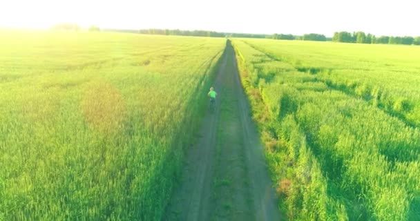 Vue aérienne sur le jeune garçon, qui monte à vélo à travers un champ d'herbe de blé sur la vieille route rurale. Lumière du soleil et rayons. — Video