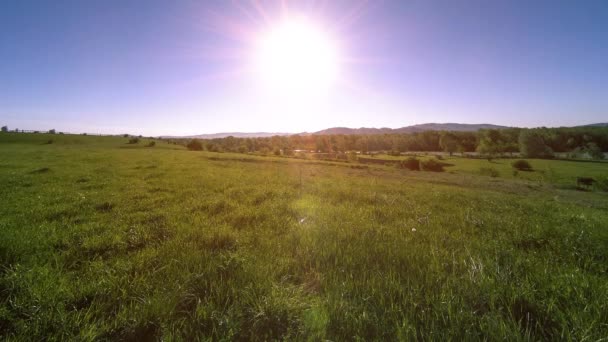 4K UHD fjälläng timelapse på sommaren. Moln, träd, grönt gräs och solstrålar rörelse. — Stockvideo