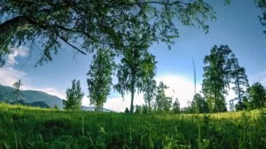 Yaz veya sonbahar aylarında dağ çayır zaman atlamalı. Vahşi doğa ve kırsal alan. Motorlu sürgü dolly hareketi.