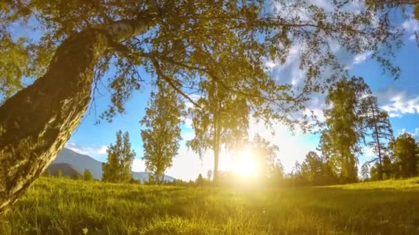 Pré-montagne time-lapse à l'heure d'été ou d'automne. Nature sauvage et champ rural. Mouvement motorisé poupée coulissante . — Video