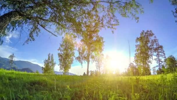 Mountain meadow time-lapse at the summer or autumn time. Wild nature and rural field. Motorised slider dolly movement. — Stock Video