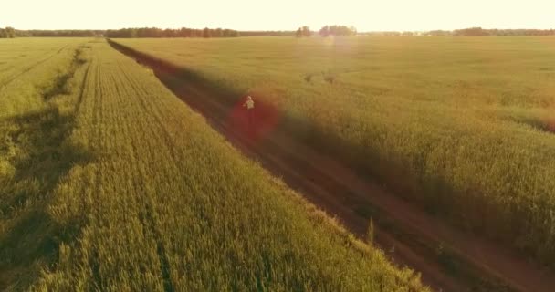 Flygfoto på ung pojke, som rider en cykel genom ett vete gräs fält på den gamla landsvägen. Solljus och strålar. — Stockvideo