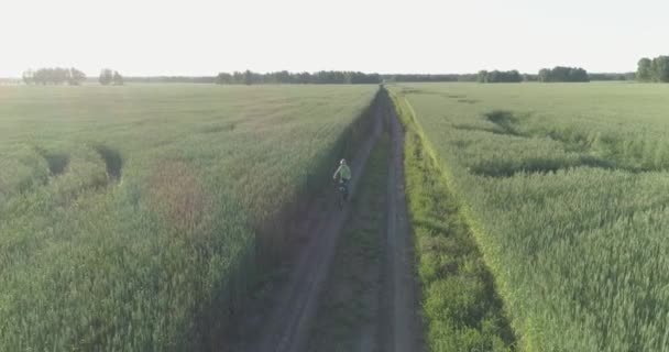Flygfoto på ung pojke, som rider en cykel genom ett vete gräs fält på den gamla landsvägen. Solljus och strålar. — Stockvideo