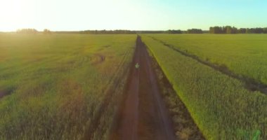 Kırsal yoldaki bir çim tarlasında bisiklet süren genç bir çocuğun hava manzarası. Güneş ışığı ve ışınlar.