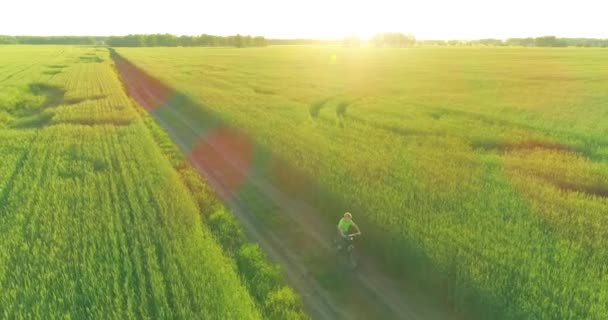 Vue aérienne sur le jeune garçon, qui monte à vélo à travers un champ d'herbe de blé sur la vieille route rurale. Lumière du soleil et rayons. — Video