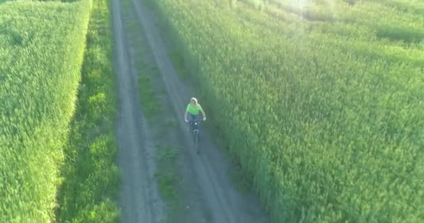 Vista aérea sobre o menino, que monta uma bicicleta através de um campo de grama de trigo na antiga estrada rural. Luz solar e vigas. — Vídeo de Stock