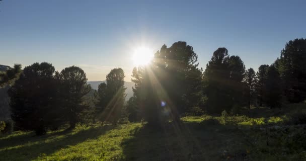 Tempo de prado da montanha. Natureza selvagem e campo rural. Nuvens, árvores, grama verde e movimento de raios solares. Movimento da câmara. — Vídeo de Stock