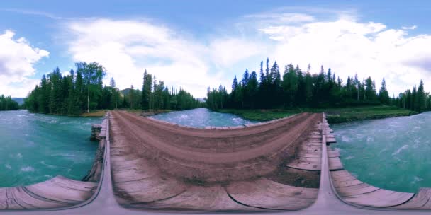 360 VR virtuell verklighet av en vild skog. Tallskog, liten snabb, kall fjällälv. National park. — Stockvideo