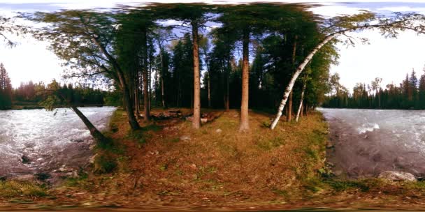 360 VR virtual reality van een wild bos. Dennenbos, kleine snelle, koude bergrivier. Nationaal park. — Stockvideo