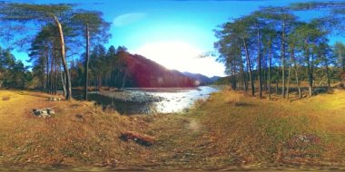 Vahşi dağların, çam ormanlarının ve nehir akışlarının 360 VR sanal gerçekliği. Ulusal park, çayır ve güneş ışınları.
