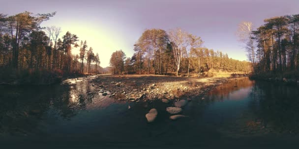 360 VR虚拟现实的野山，松林和河流的流动。国家公园、草地和阳光. — 图库视频影像