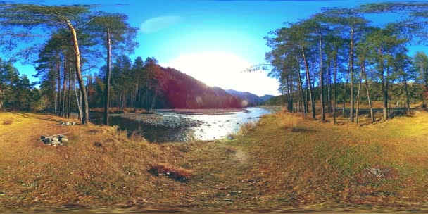 360 VR 가상 현실의 야생 산, 소나무 숲, 강 흐름. 국립 공원, 목초지 및 태양 광선. — 비디오