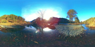Vahşi dağların, çam ormanlarının ve nehir akışlarının 360 VR sanal gerçekliği. Ulusal park, çayır ve güneş ışınları.