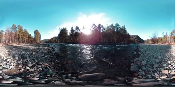 360 VR virtual reality of a wild mountains, pine forest and river flows. National park, meadow and sun rays. — Stock Video