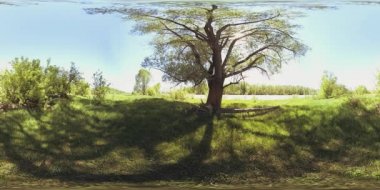 UHD 4K 360 VR Bir nehrin Sanal Gerçekliği güzel dağ ormanlarında kayaların üzerinden akıyor