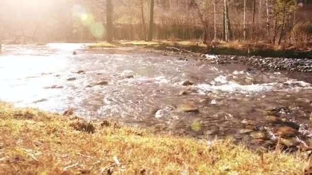 Dolly slider shot of the splashing water in a mountain river near forest. Wet rocks and sun rays. Horizontal steady movement. — Stock Video