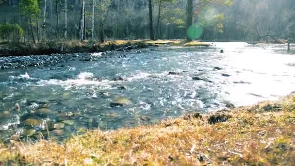 Dolly deslizante tiro da água espirrando em um rio de montanha perto da floresta. Rochas molhadas e raios solares. Movimento horizontal estável. — Vídeo de Stock