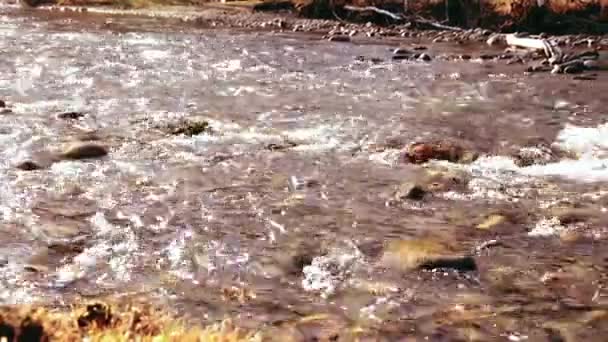 Dolly slider shot van het spetterende water in een berg rivier in de buurt van bos. Natte rotsen en zonnestralen. Horizontale constante beweging. — Stockvideo