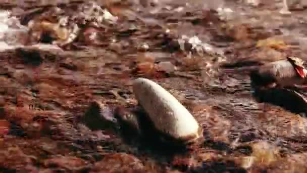 Dolly deslizador de tiro de las salpicaduras de agua en un río de montaña cerca del bosque. Rocas húmedas y rayos de sol. Movimiento horizontal constante. — Vídeos de Stock