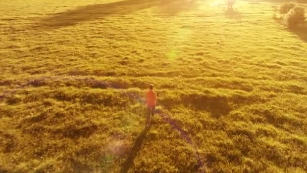 Lot nad człowiekiem sportowy działa na idealne zielona trawa wiejski łąka offroad. Zachód słońca w góry — Wideo stockowe
