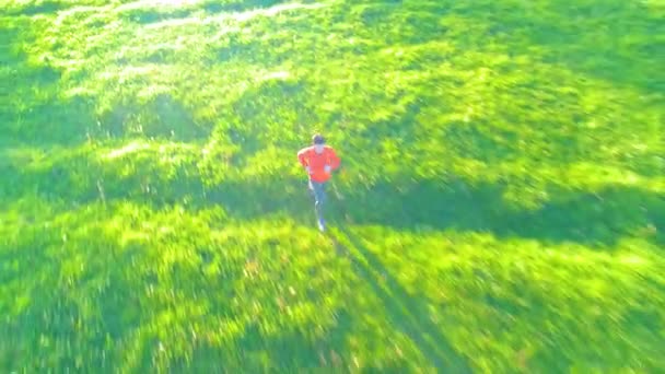 Vuelo sobre el hombre deportivo corriendo en la hierba verde perfecta pradera rural offroad. Puesta de sol en montaña — Vídeos de Stock