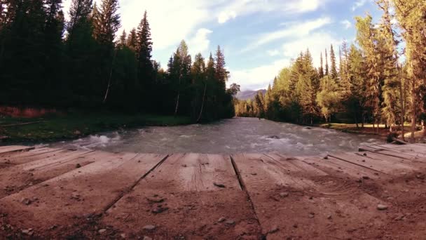 Pradera en la orilla del río de montaña. Paisaje con hierba verde, pinos y rayos de sol. Movimiento en la muñeca deslizante motorizada. — Vídeo de stock