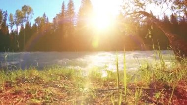 Dağ nehri kıyısındaki çayır. Yeşil çimlerle, çam ağaçlarıyla ve güneş ışınlarıyla kaplı bir manzara. Motorlu kaydırma kulesinde hareket.
