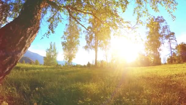 Prado rural ensolarado na paisagem da montanha com grama verde, árvores e raios de sol. Movimento diagonal em boneca de controle deslizante motorizado. — Vídeo de Stock