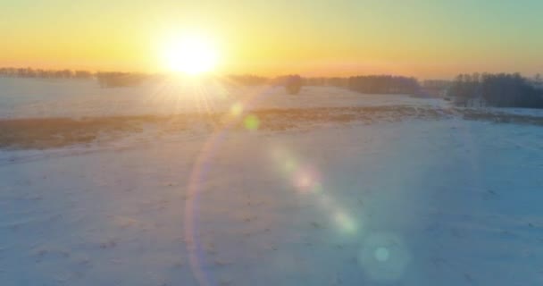 北極のフィールドと寒い冬の風景の空中ドローンビュー、水平線上に霜雪と朝の太陽光線で覆われた木. — ストック動画