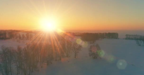 北極のフィールドと寒い冬の風景の空中ドローンビュー、水平線上に霜雪と朝の太陽光線で覆われた木. — ストック動画