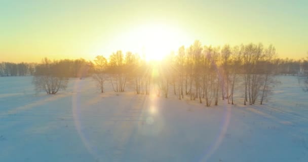 Vue aérienne par drone du paysage hivernal froid avec champ arctique, arbres couverts de neige verglaçante et rayons du soleil matinaux au-dessus de l'horizon. — Video