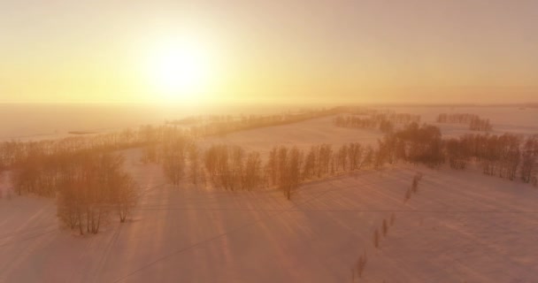 Vista aérea de drones del frío paisaje invernal con campo ártico, árboles cubiertos de nieve helada y rayos de sol matutinos sobre el horizonte. — Vídeo de stock