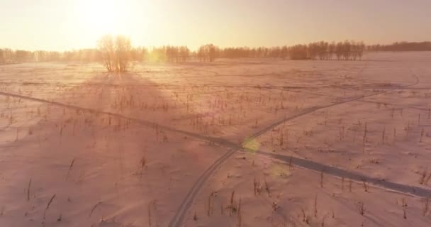 北極のフィールドと寒い冬の風景の空中ドローンビュー、水平線上に霜雪と朝の太陽光線で覆われた木. — ストック動画