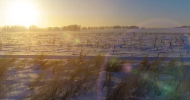 Flygdrönare syn på kallt vinterlandskap med arktiska fält, träd täckta med frost snö och morgonsol strålar över horisonten. — Stockvideo