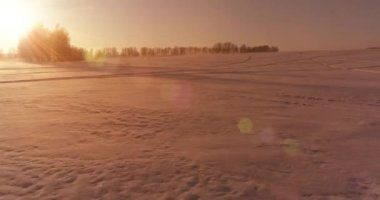 Arktik çayırlı soğuk kış manzarası, karla kaplı ağaçlar ve ufukta sabah güneşleri..