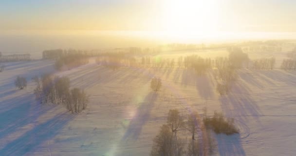 Aerial drone view of cold winter landscape with arctic field, trees covered with frost snow and morning sun rays over horizon. — Stock Video