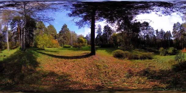 UHD 4K 360 VR Realidade Virtual de uma área de recreação do parque da cidade. Árvores e grama verde no outono ou no dia de verão — Vídeo de Stock