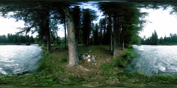 Vahşi bir ormanın 360 VR sanal gerçekliği. Çam ormanı, küçük, hızlı, soğuk dağ nehri. Ulusal park. — Stok video