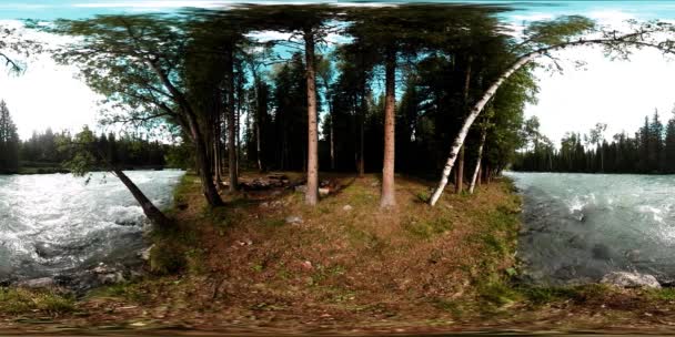 360 VR virtual reality van een wild bos. Dennenbos, kleine snelle, koude bergrivier. Nationaal park. — Stockvideo