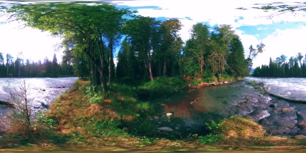 360 VR realidade virtual de uma floresta selvagem. Floresta de pinheiro, pequeno e rápido rio de montanha frio. Parque nacional. — Vídeo de Stock