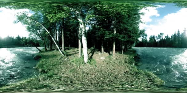 Vahşi bir ormanın 360 VR sanal gerçekliği. Çam ormanı, küçük, hızlı, soğuk dağ nehri. Ulusal park. — Stok video