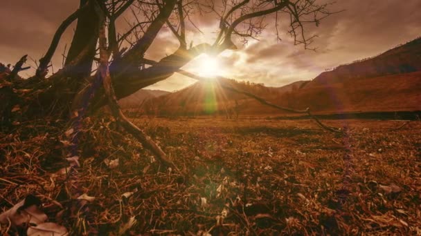 Время смерти дерева и сухой желтой травы на горном ландшафте с облаками и солнечными лучами. Горизонтальное скольжение Видеоклип